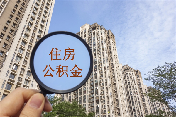 河南怎么举报公积金小广告（住房公积金怎么举报）